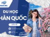 Du học Hàn Quốc: Điều kiện & Chi Phí – Việc Làm Thanh Niên Long An