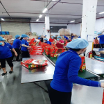 TUYỂN ĐÓNG GÓI BAO BÌ THỰC THẨM - VIỆC LÀM THANH NIÊN